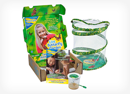 Insect Lore Live Butterfly Growing Kit Toy
